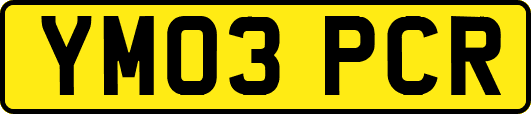 YM03PCR