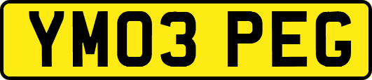 YM03PEG