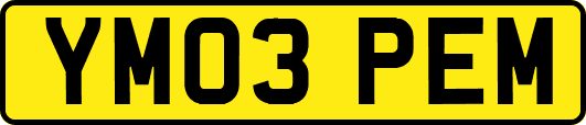 YM03PEM