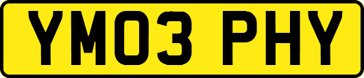YM03PHY
