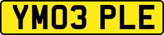 YM03PLE