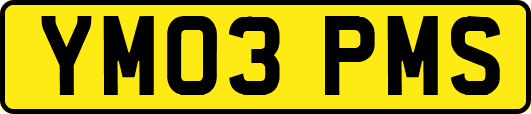 YM03PMS