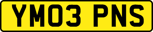 YM03PNS