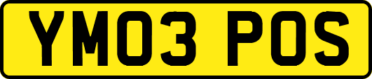 YM03POS