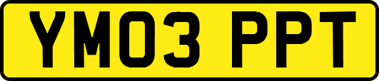 YM03PPT