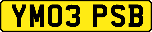 YM03PSB