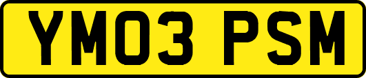 YM03PSM