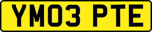 YM03PTE
