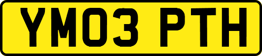 YM03PTH
