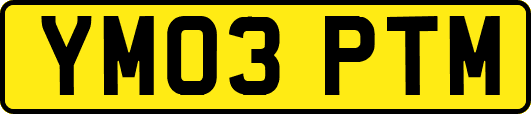 YM03PTM