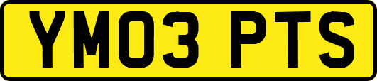 YM03PTS
