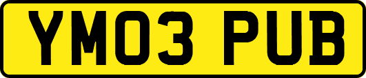 YM03PUB