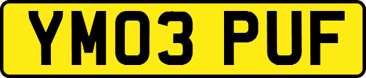 YM03PUF