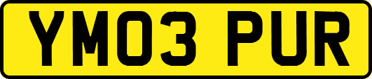 YM03PUR