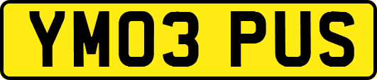 YM03PUS