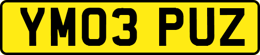 YM03PUZ