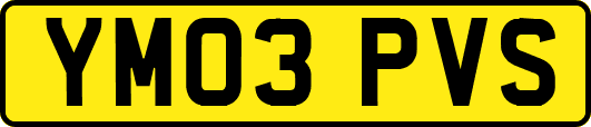 YM03PVS