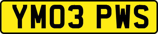 YM03PWS