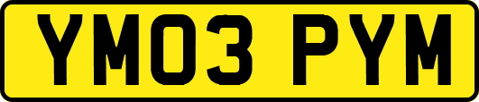 YM03PYM