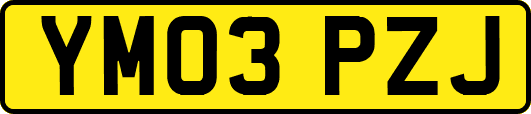 YM03PZJ
