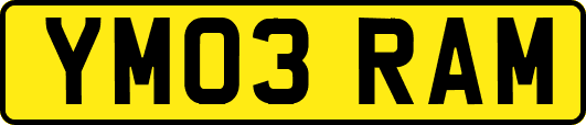 YM03RAM