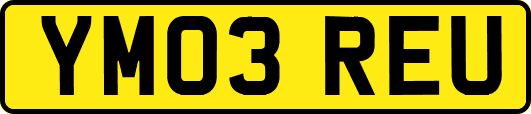 YM03REU