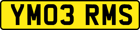 YM03RMS