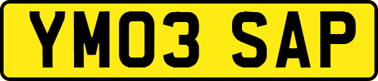 YM03SAP