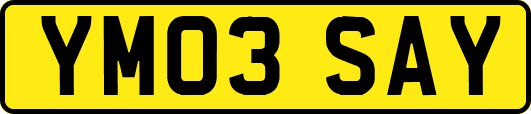 YM03SAY