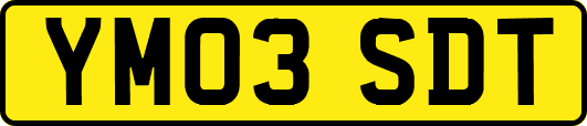 YM03SDT
