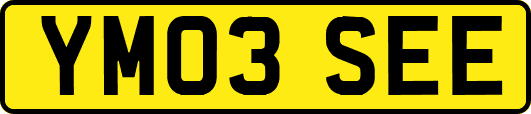YM03SEE