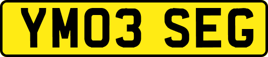YM03SEG