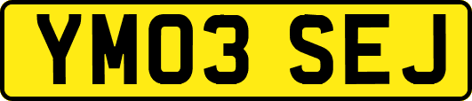 YM03SEJ