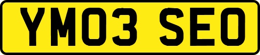 YM03SEO
