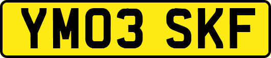 YM03SKF