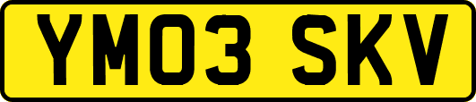 YM03SKV