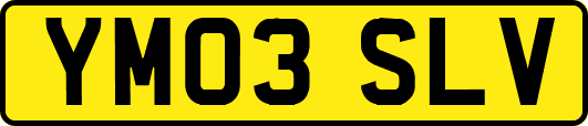 YM03SLV