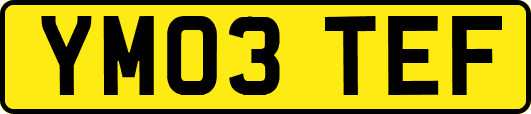 YM03TEF