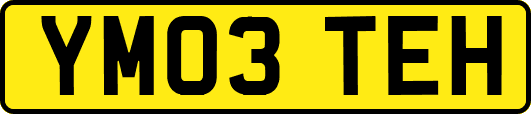 YM03TEH