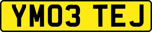 YM03TEJ