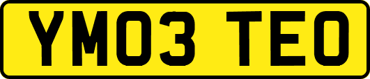 YM03TEO