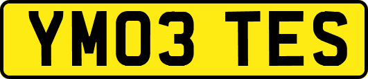 YM03TES