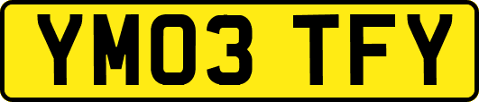 YM03TFY