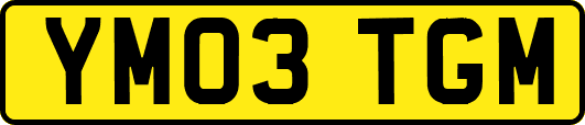 YM03TGM