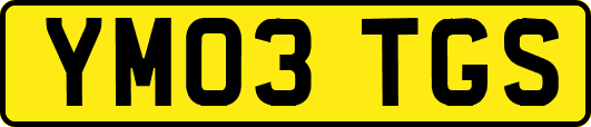 YM03TGS