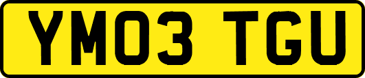 YM03TGU