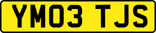YM03TJS