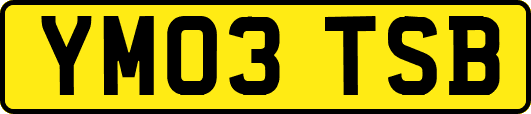 YM03TSB