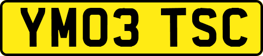 YM03TSC