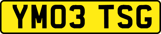 YM03TSG